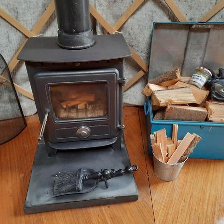 Ceridwen Glamping, Double Decker Bus And Yurts Hotel Llandysul Exterior photo